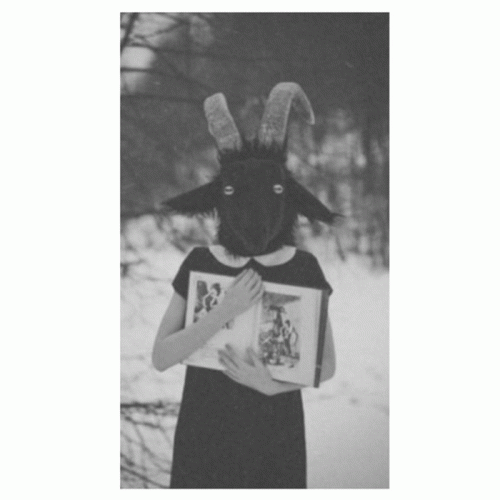 Night Goat : Black Sheep of the Family Night Goat : Black Sheep of the Family